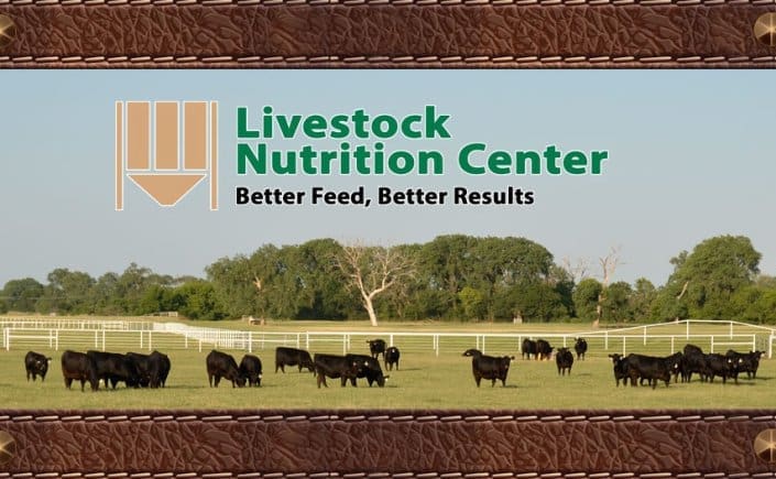 livestock-nutrition-center